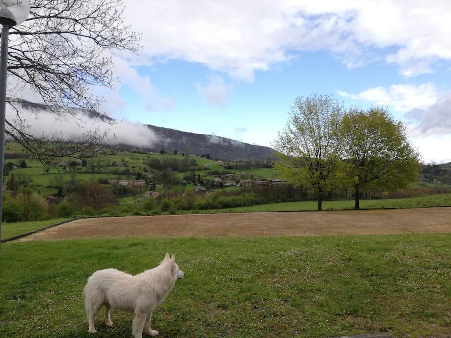 Standing Wifi Vercors 'in * Saint-Jean-en-Royans